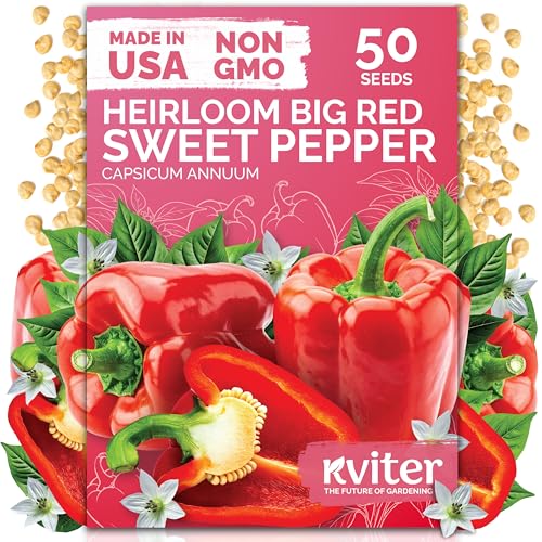 KVITER 50 Big Red Bell Pepper Seeds (Capsicum annuum) Large Sweet Peppers Seed Packets Sweet Red Pepper Vegetable Garden Heirloom Vegetable Seeds Outdoor & Indoor Garden Containers