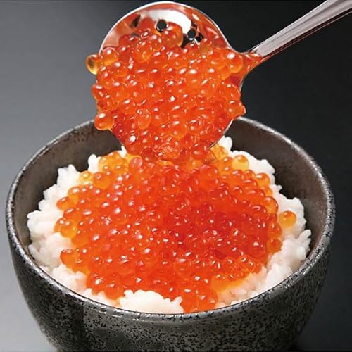 �ԑ����Y �k�C���Y ������ �ݖ��Ёb500g�E���ϔ����b���� �v���[���g ������ ���Ε� �h�V�̓� ����