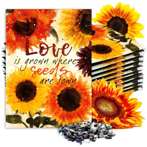 Seed Needs, Sunflower Seed Packet Party Favors - Pre-Filled Packs to Hand Out (Great for Weddings, Bridal Showers, Memorials, Fundraisers & Other Events) Heirloom & Untreated (20 Packets)