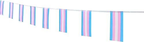 Bandera de orgullo arcoíris transgénero, 100 pies/76 piezas de decoración de festival de arco iris, suministros de decoración de fiesta para