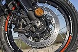 -Exclusivo Labelbike Kit tiras adhesivas para llantas de moto Suzuki V-Strom 1050
