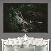 Framed Canvas Wall Art Rustic Woods Brown Dark Dramatic Forest Group Nature Photography Realism - 16x24 inches