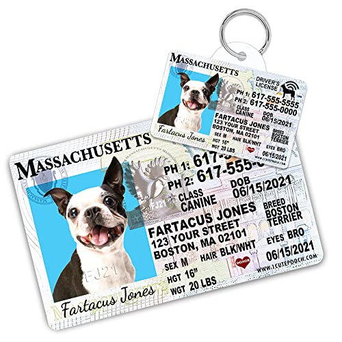 Do You Have To Register Your Dog In Massachusetts