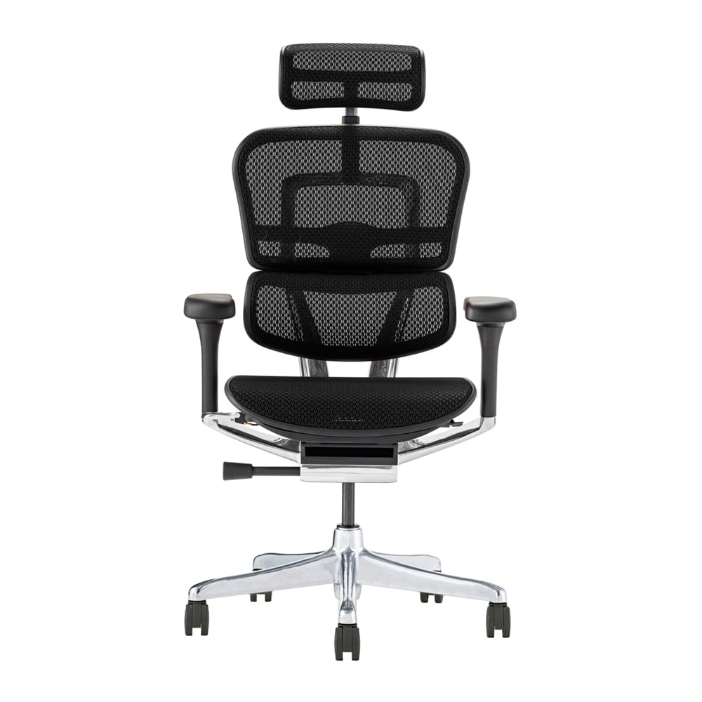 エルゴヒューマン プロ Ergohuman PRO エルゴヒューマン Pro Ergohuman プロ 多機能チェア ハイ