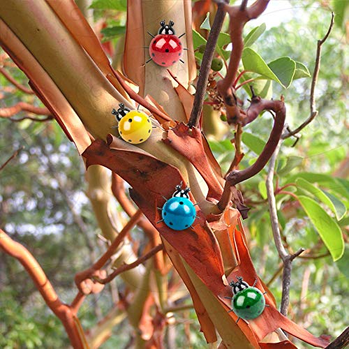 Gornorva 4Pcs Metal Insect Wall Decor,Cute Metal Ladybugs Outdoor Wall Sculptures Outdoor Decor Wall Metal Ladybugs Art For Outdoor Backyard Porch Home Patio Lawn Fence Decoration (4Colors,3.5Inch) #TOP2