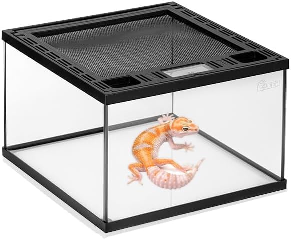 Amazon | 爬虫類 ケージ グラステラリウム 飼育ケース 大 爬虫類