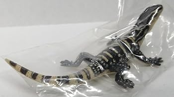 トカゲ sddefault.jpg