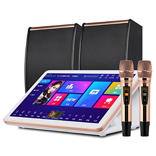 Máquina de karaoke profesional con pantalla táctil y micrófonos inalámbricos para entretenimiento en casa