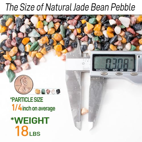Image of CJGQ 18lb Aquarium Gravel for Plants, 1 /4Inch Fish Tank Gravel for Succulent Cactus and Bonsai, Decorative River Rocks Pebbles for Gardening, Flower Pots, Landscaping,Terrarium