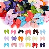 100uds Mini Lazos Manualidades, 20 Colores Pequeños Lazo de Satén Prefabricados Bonitos Accesorios de Bricolaje para Coser Hacer Álbumes Recortes Envolver Regalos Decoraciones Fiestas