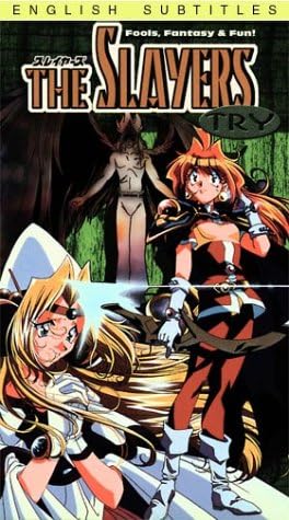 Slayers Try [VHS] : Megumi Hayashibara, Yasunori Matsumoto, Hikaru ...