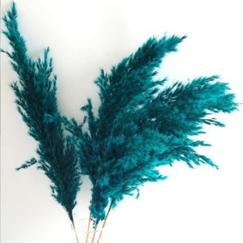 Pampas Grass 45cm Multicolor Pack de 5 miniatura 5