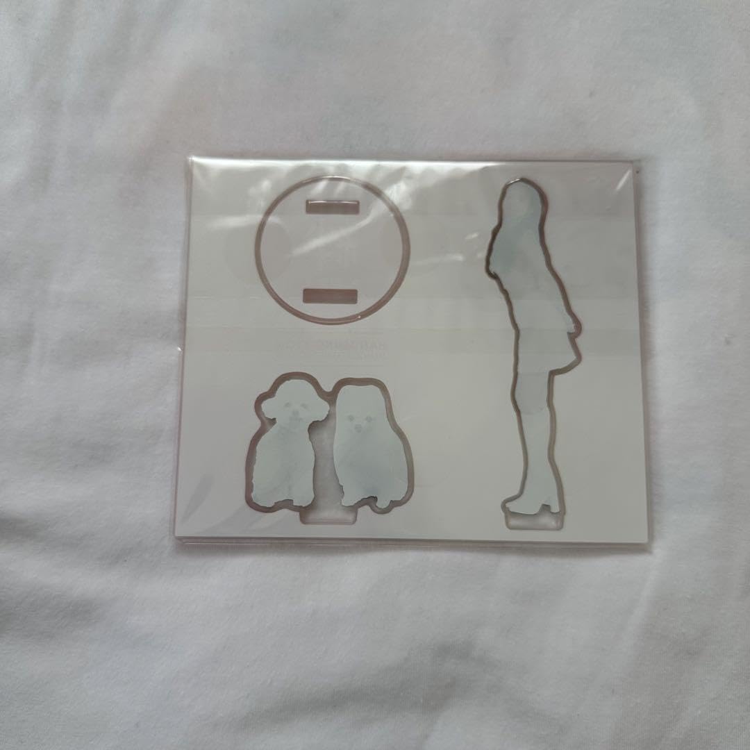 Amazon.co.jp: KARA スンヨン絆第1章 アクリルスタンド : おもちゃ 