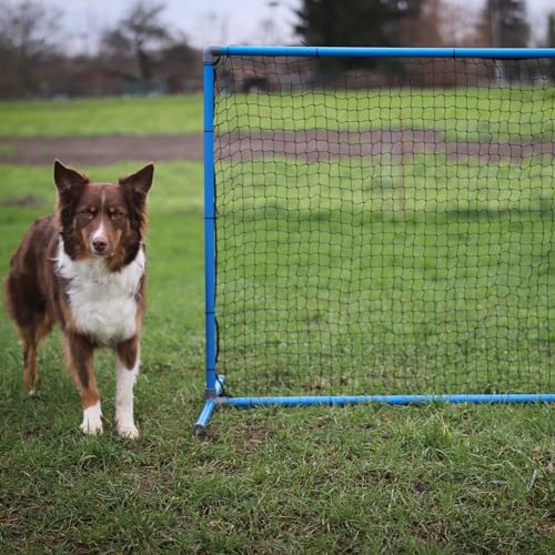 Agility Flash Zaun