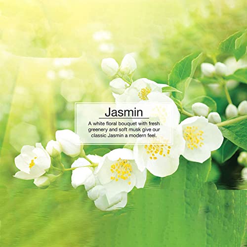 Image of Little Trees Jasmin Air Freshener | Tree-Shaped Hanging Design | Ideal For Car, Home, Wardrobes etc | Imported from USA