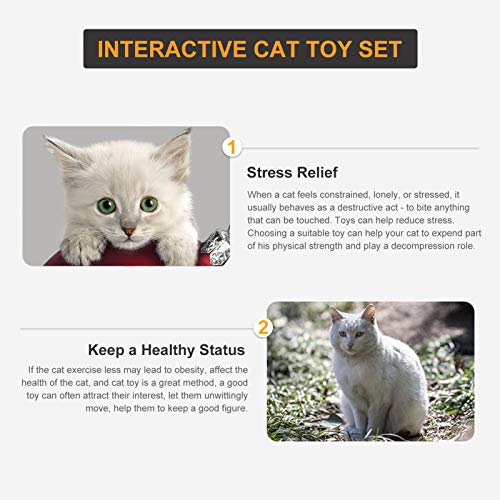 Conjunto de combinação de variedade de brinquedos para animais de estimação interativo Adaskala, com