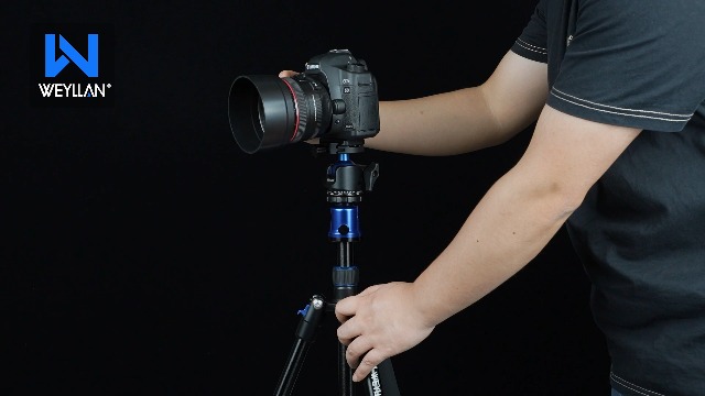 Amazon | WEYLLAN TP6 カメラ 三脚 一脚、170cm 俯瞰撮影三脚 36mm