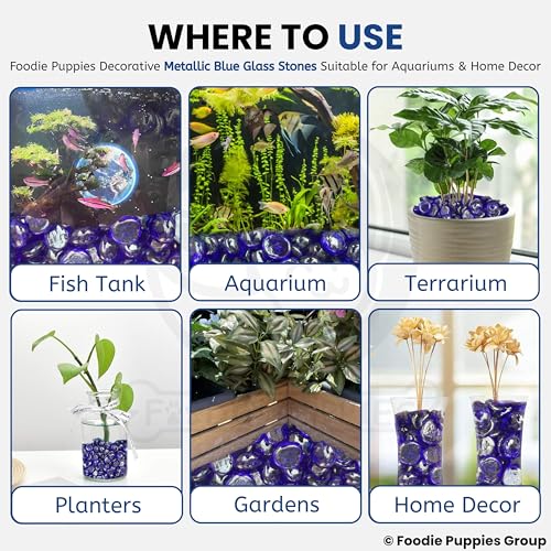 Image of Foodie Puppies Flat Glass Clear Stone (400gm, Metallic Blue) (2cm - 2.5cm) for Aquariums, Fireplace, Firepit Glass for Indoor and Outdoor, Vase Filler, Hydroponics Plants, Home Decor and DIY Craft