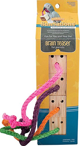 Sun Seed Sunsations Brain Teaser