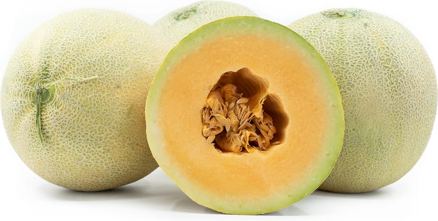 Sugar Sweet Melon Fresh Fruit Sweet, Sugary Flavor, Soft Flesh, Small to Medium Sized - 2 Count Fruits