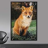 Framed Canvas Wall Art Red Fox Animals Contemporary Expressive Fox Living Room Multicolor Photography - 16x24 inches