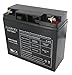 Tashima - Motorrad Batterie NH1220 / NH1218 12V 20Ah, Schwarz Tashima günstig Kaufen-Tashima - Motorrad Batterie NH1220 / NH1218 12V 20Ah, Schwarz