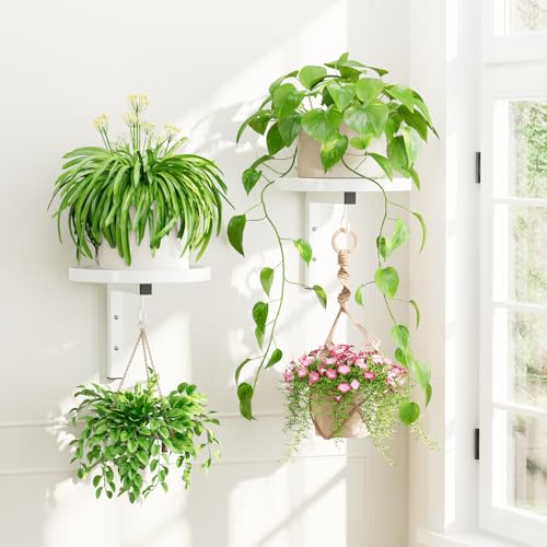 iDavosic.ly Plant Wall Hanger Holder Set of 2 for Indoor Outdoor, White