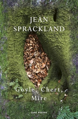 Goyle, Chert, Mire (English Edition)