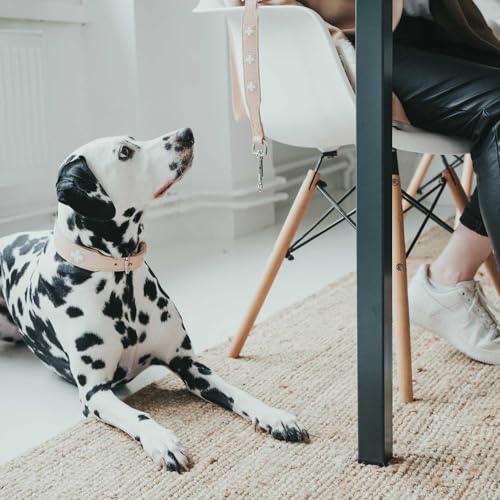 HUNTER Hundehalsband SWISS, Farbe: natur/beige, hochwertiges Rindsleder, handgenäht, schweizer Kreuz, elegantes Design, angenehm weich, komfortabel, langlebig, Made in Germany, Größe: 37