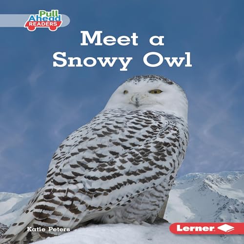 Meet a Snowy Owl by Katie Peters episode artwork