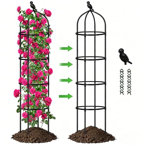 Garden Obelisks Trellis for Climbing Plants 6FT Metal Garden Trellis 1 Pack Plant Support for Climbing Rose Tomato Cucumber Flowers Grape Pea Outdoor Indoor 175cm Obelisks for Climbing Plants