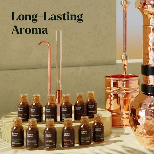 Image of Lagunamoon Essential Oils Set - 12 Piece Premium Grade Home Essentials Oils - for Diffusers, Fragrance, Scents for Candle Making - Natural Aromatherapy Oils for Cars & Home Products, Room Sprays