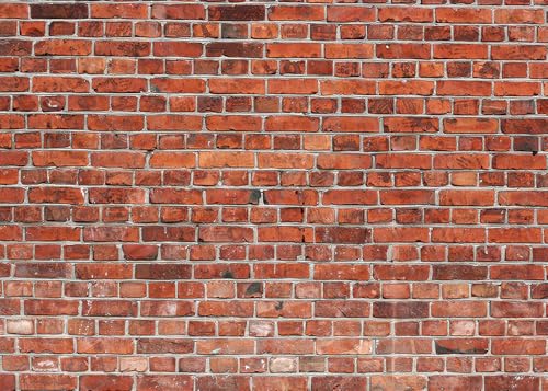 Red Retro Brick Wall Photo Backdrop Polyester Brick Photography Background Fireplace Decor Baby Shower Newborn Birthday Wedding Party Home Decoration Photo Booth Studio Prop Banner
