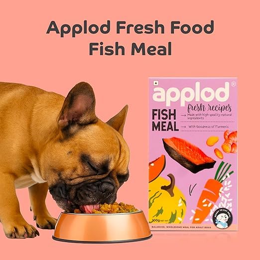Image of Fresh Fish Meal Dog Food for Adult Dogs | High-Protein Fish Recipe with Omega for Healthy Skin & Coat | Easy Digestion & Complete Balanced Nutrition | 100g x 2