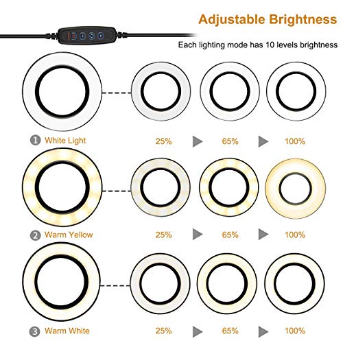 Helping Hand Third Hand Soldering Tools Flexible 360° Stainless Steel Arms 3X Magnifying Lamp with Heavy Duty Aluminum Base and Rotary Clips for PCB Board Repair,Jewelry Maker