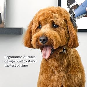 Oster® Professional Fast Feed® Cordless Pet Clippers Blue for Dogs  Cucciolini Doodles Oster® professional fast feed® cordless pet clippers blue for dogs   cucciolini doodles