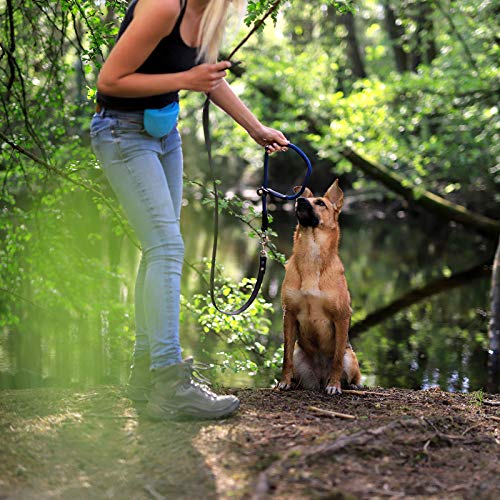 lionto Hundehalsband aus strapazierfähigem Nylon für Hundetraining, Länge 65 cm, 1 cm Dicke, Zugstopp Halsband für Hunde, Lederimitat mit Metallring & Anpassung durch stufenlosen Schieber, blau
