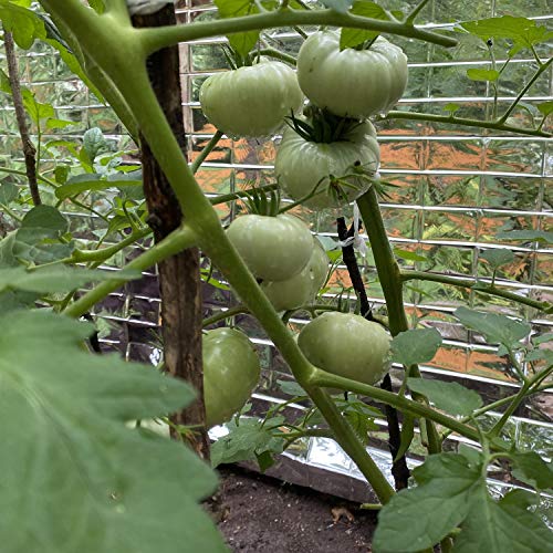 Silver Reflective Mylar Film Sheets - Garden Greenhouse Covering Foil Sheets Set Of 10 Pack | Mylar Roll For Grow Room Effectively Increase Plants Growth - 87 X 63 Inch Space Emergency Blankets Fabric #TOP1