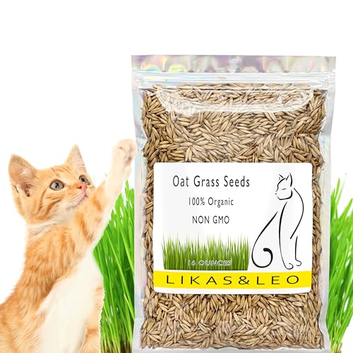 10 Best Grass Seed Cat Litter