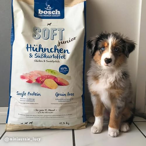 bosch HPC SOFT Junior Hühnchen & Süßkartoffel | halbfeuchtes Hundefutter für wachsende Hunde aller Rassen | Single Protein | grain-free | 1 x 2.5 kg