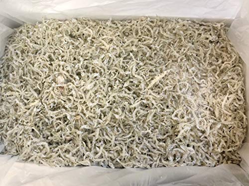 ちりめんじゃこ (かちり干し）1kg 兵庫県産他【期間限定スポット品】干しも良くお買い得です【冷凍便】