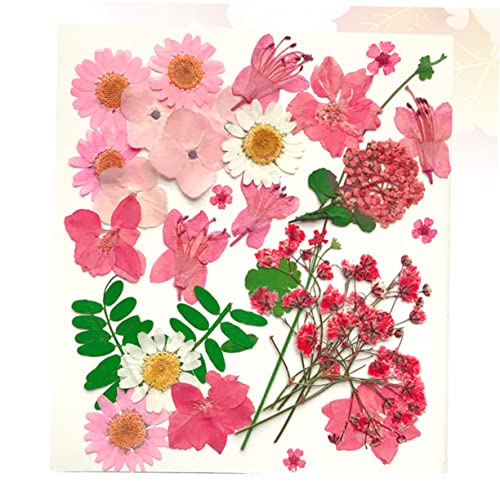 30 flores secas prensadas mixtas para manualidades miniatura 2