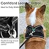 rabbitgoo-Small-Dog-Harness-Step-in-Soft-Mesh-Dog-Harness-with-4-Adjustable-Straps-No-Pull-Dog-Vest-Harness-with-Double-Clips-Reflective-Strips-Escape-Proof Small Dog Harness with Double Clips