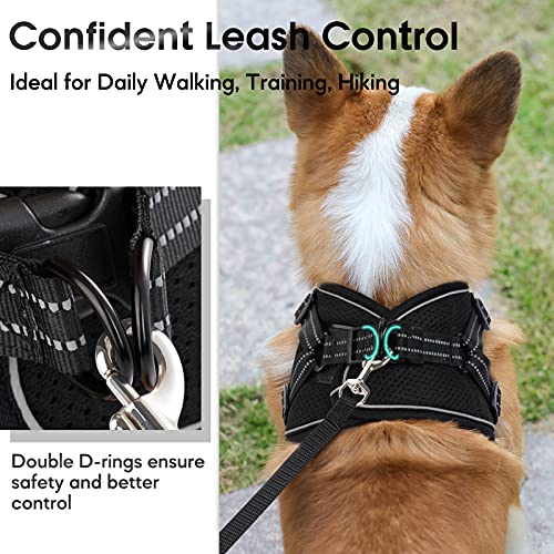 rabbitgoo Small Dog Harness, Soft Mesh Dog Harness with 4 Adjustable Straps, No Pull Dog Vest Harness with Double Clips… - Image 6