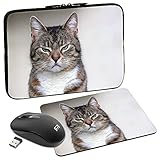PEDEA Design Tablet PC Tasche 10,1 Zoll (25,6cm) mit Mauspad und schnurloser Maus, Cat