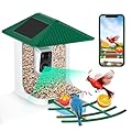 BEZOMIZ® 2.5K Smart Bird Feeder with Camera Solar Powered, Bird Watching Camera with AI Identify, Auto Capture, Instant Notifications, 2.4GHz, IP65, Ideal Gifts for Family
