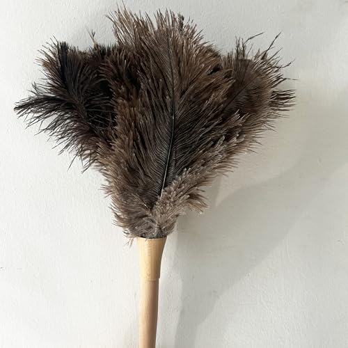 Image of 19.7 Inch Ostrich Feather Duster - Soft Dusting Brush for Home, Office, and Furniture Cleaning (Brown)