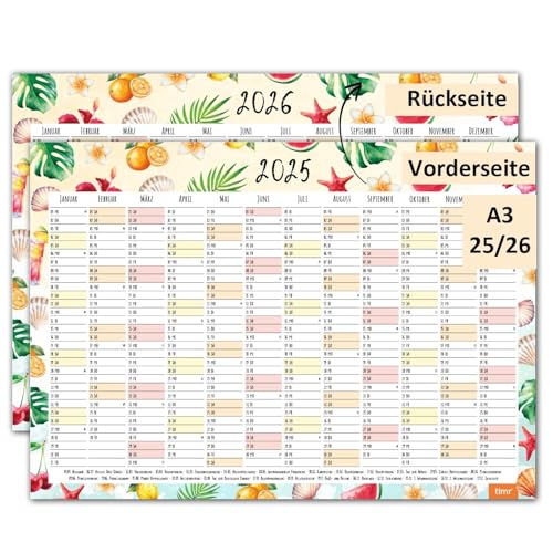 Timr Wandkalender 2025/2026 Früchte tr291