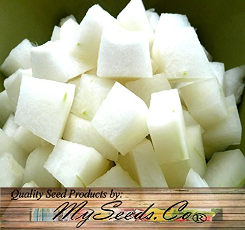 Big Pack - (100) Winter Melon Round, Wax Gourd Seeds - Tong Qwa - Used In Asian Soup Dishes - Non-Gmo Seeds By Myseeds.co (Big Pack - Wax Gourd) #TOP1