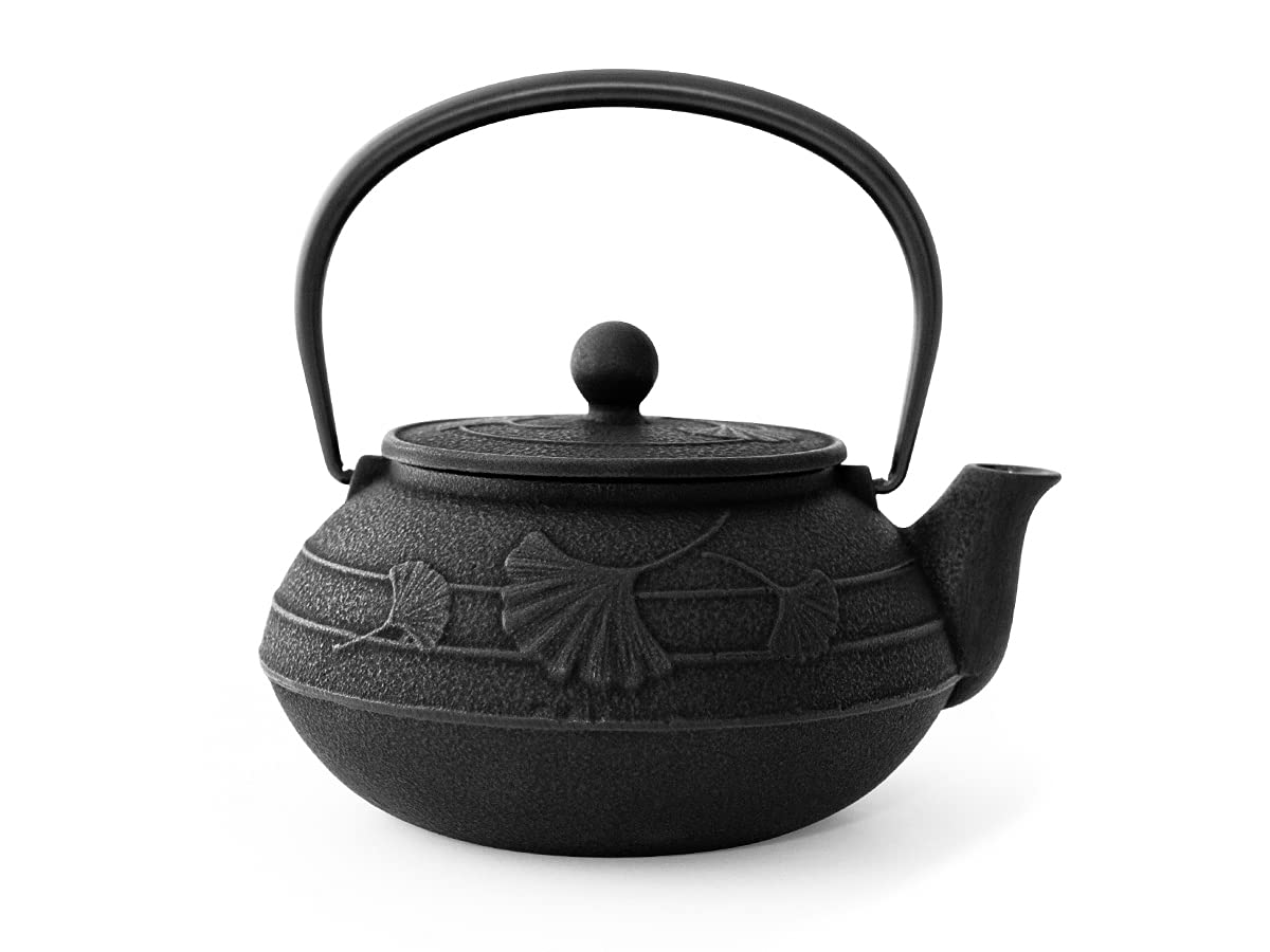 Iwachu Ginkgo Théière Japonaise en Fonte Noir 0,65 l Intérieur émaillé, Tous Types de thé.